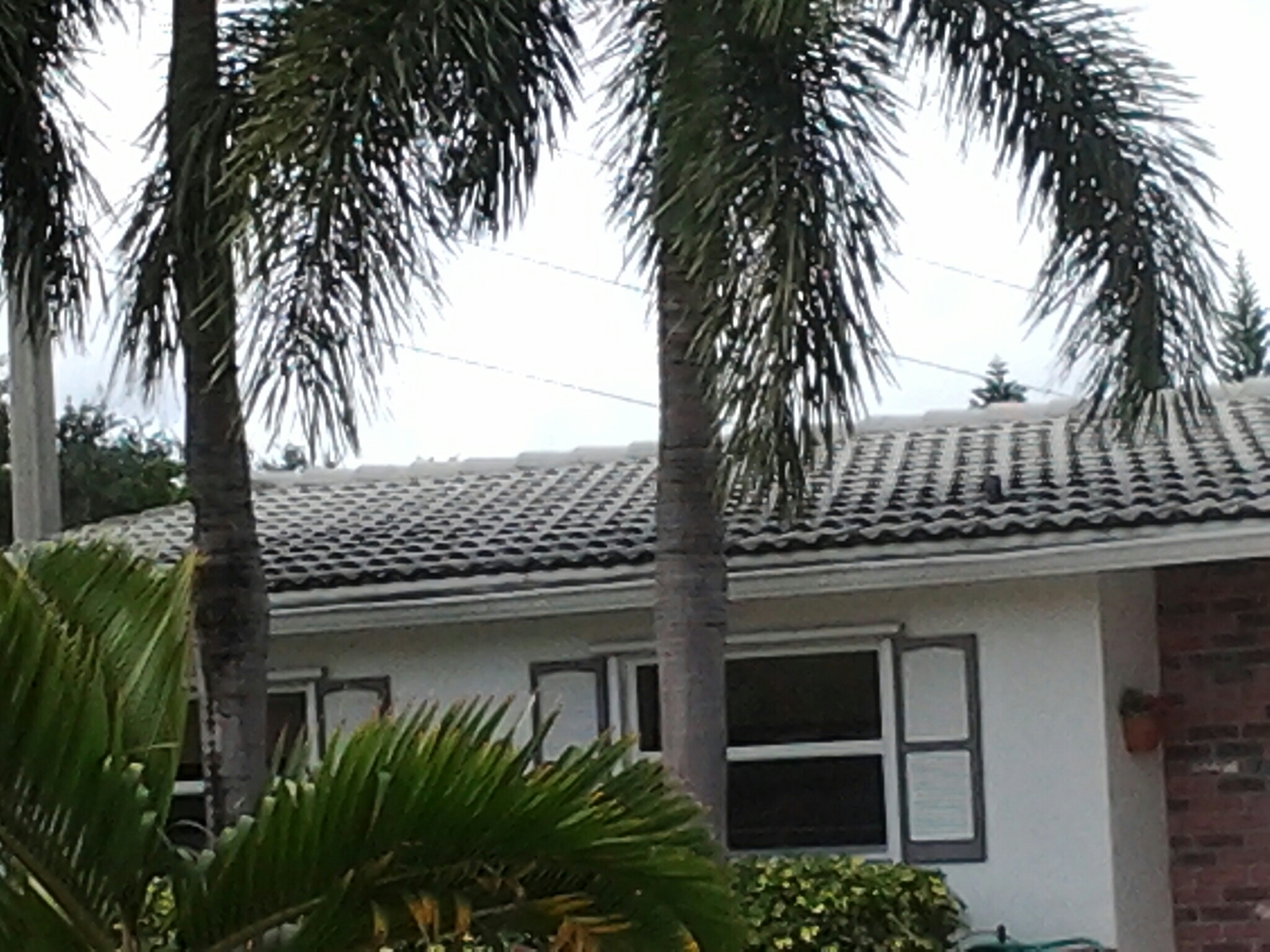 Aventura, FL - Roof a cide in Hollywood Aventura, FL - Roof a cide in Hollywood