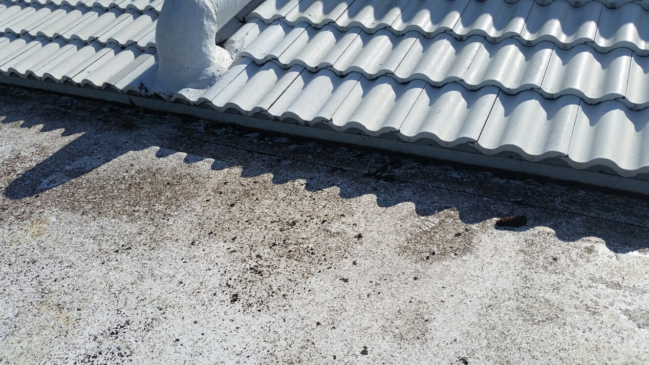 Key Biscayne, FL - Tile and flat roof repair in Key Biscayne, FL Key Biscayne, FL - Tile and flat roof repair in Key Biscayne, FL