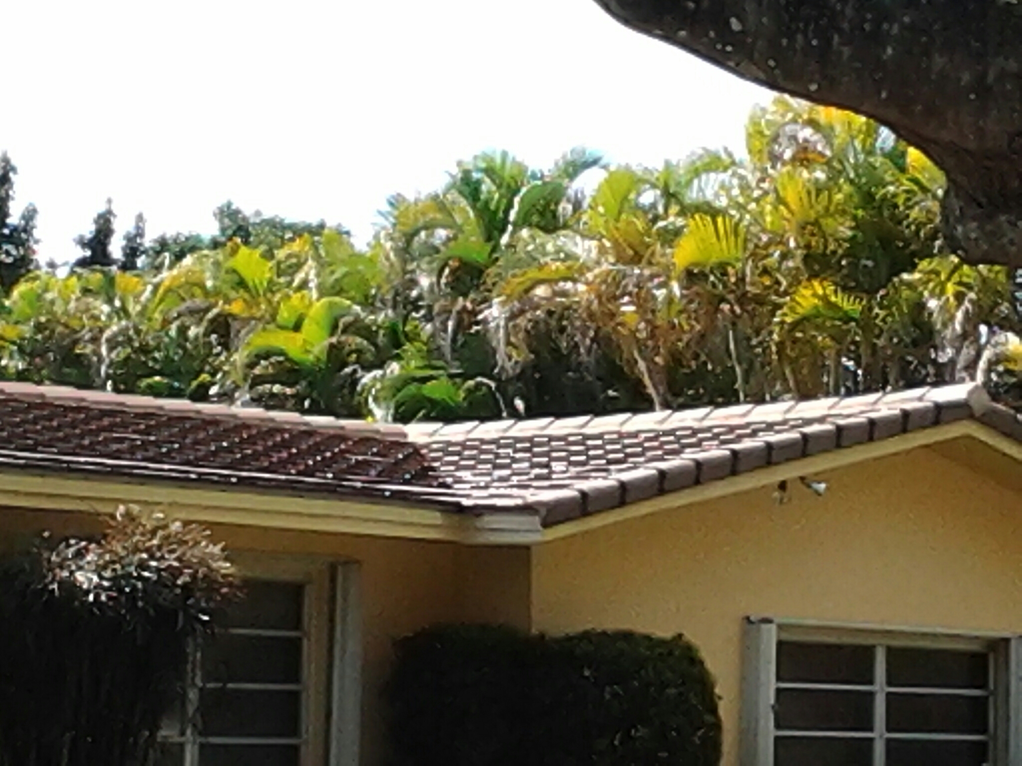 Palmetto Bay, FL - Roof a cide in Miami Palmetto Bay, FL - Roof a cide in Miami