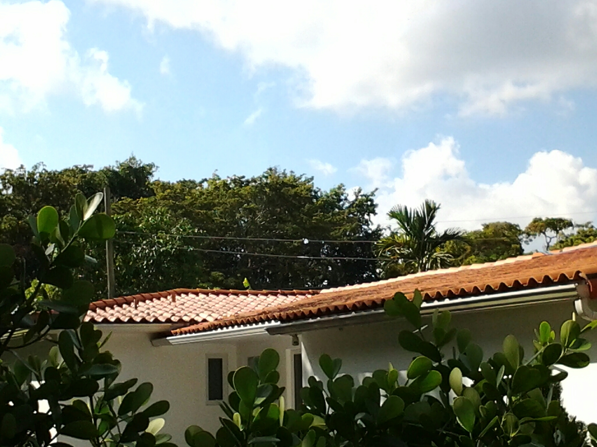 Coral Gables, FL - Pressure clean and roof a cide in Miami Coral Gables, FL - Pressure clean and roof a cide in Miami