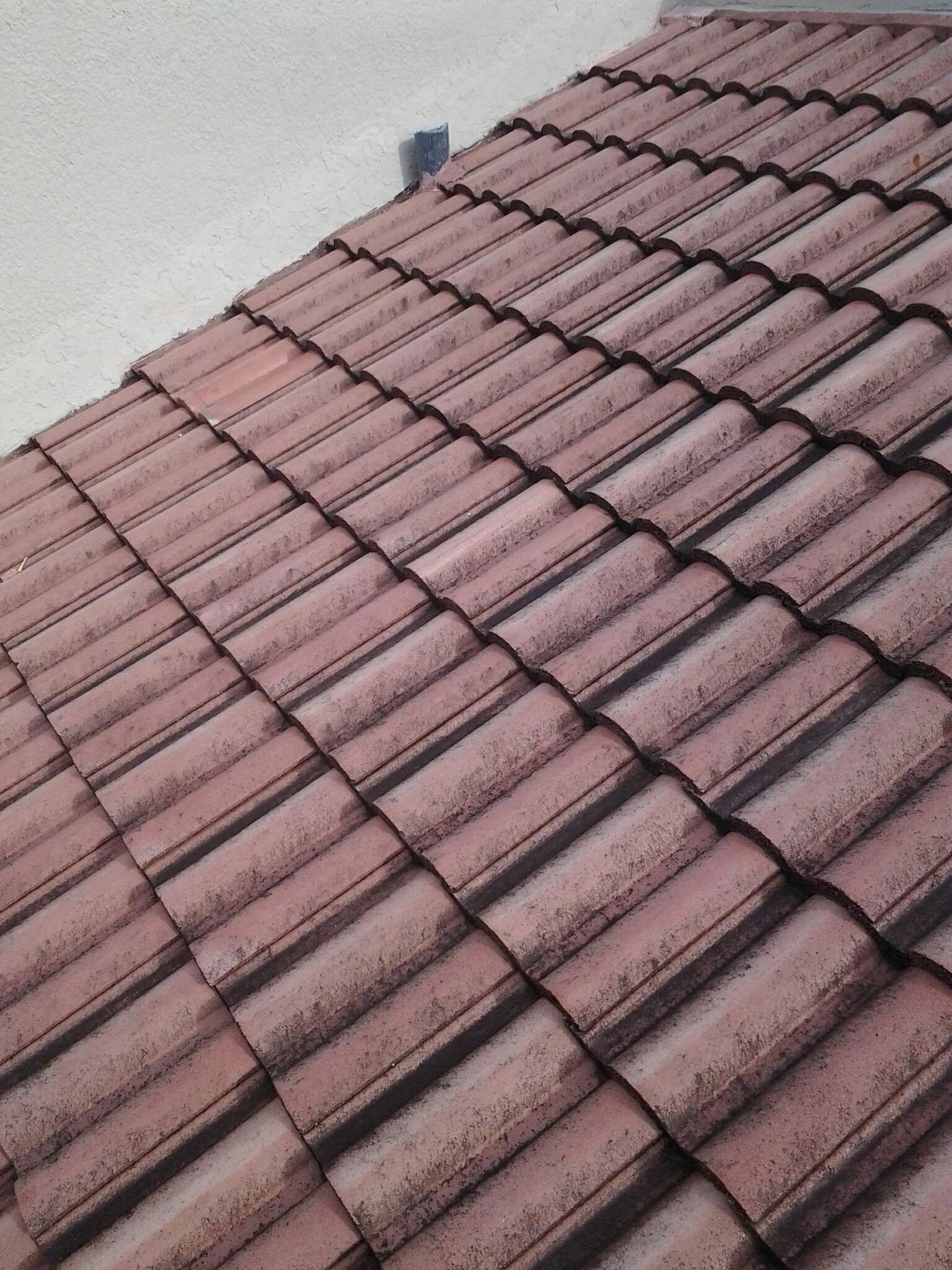 Doral, FL - Gary and Brandon Finished replacing tiles Doral, FL - Gary and Brandon Finished replacing tiles