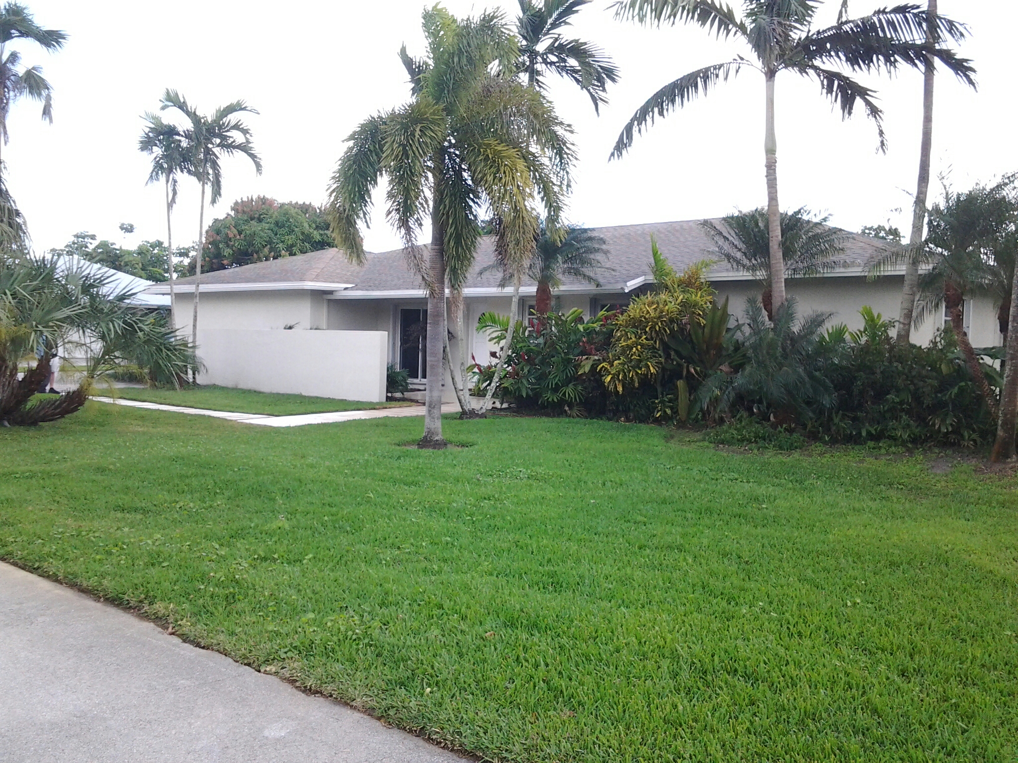 Pinecrest, FL - Brandon and Gary's finished pressure washing in roofacide on a shingle roof Pinecrest, FL - Brandon and Gary's finished pressure washing in roofacide on a shingle roof