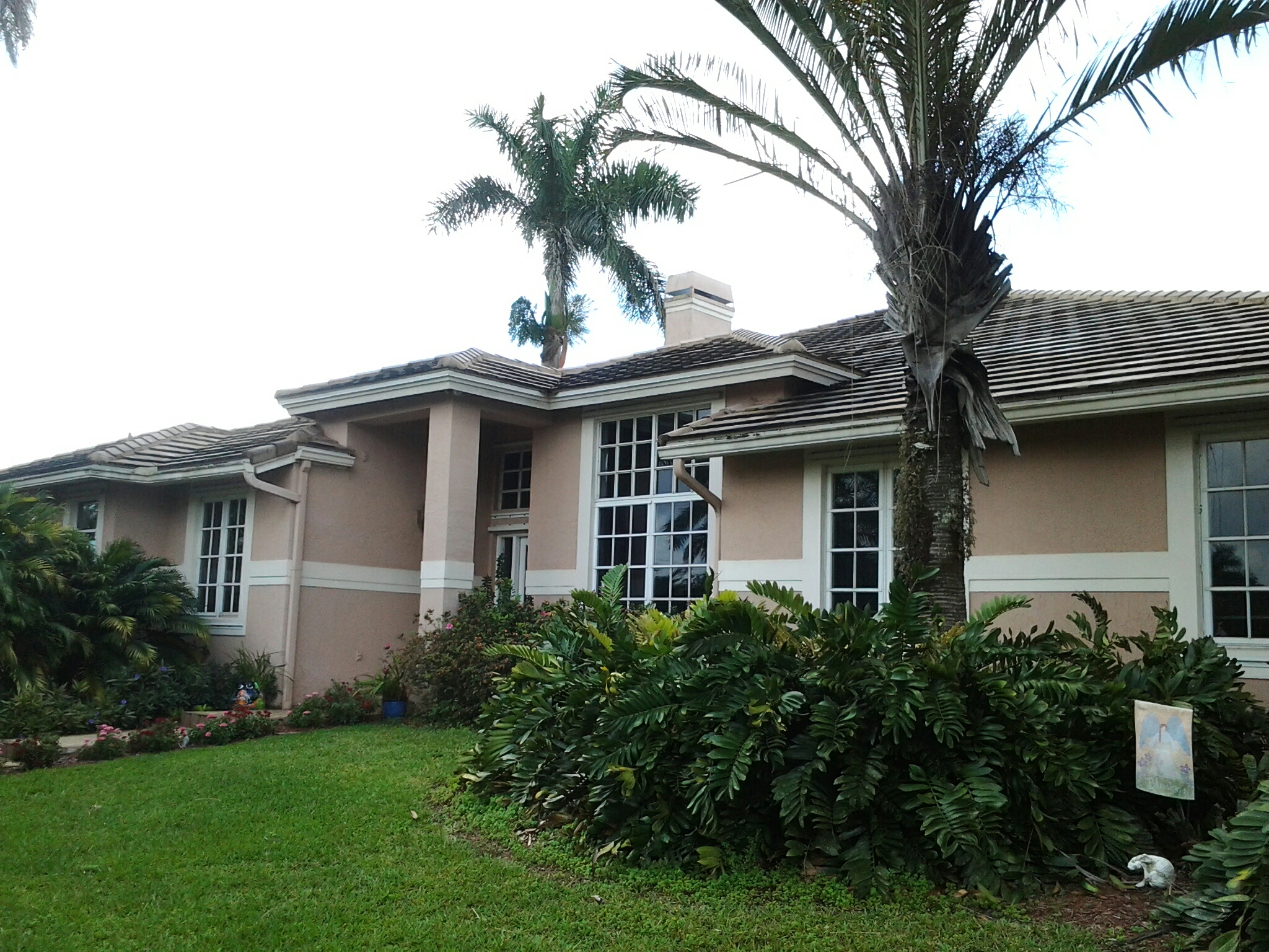 Southwest Ranches, FL - Brandon and Gary applied roof a cide Southwest Ranches, FL - Brandon and Gary applied roof a cide