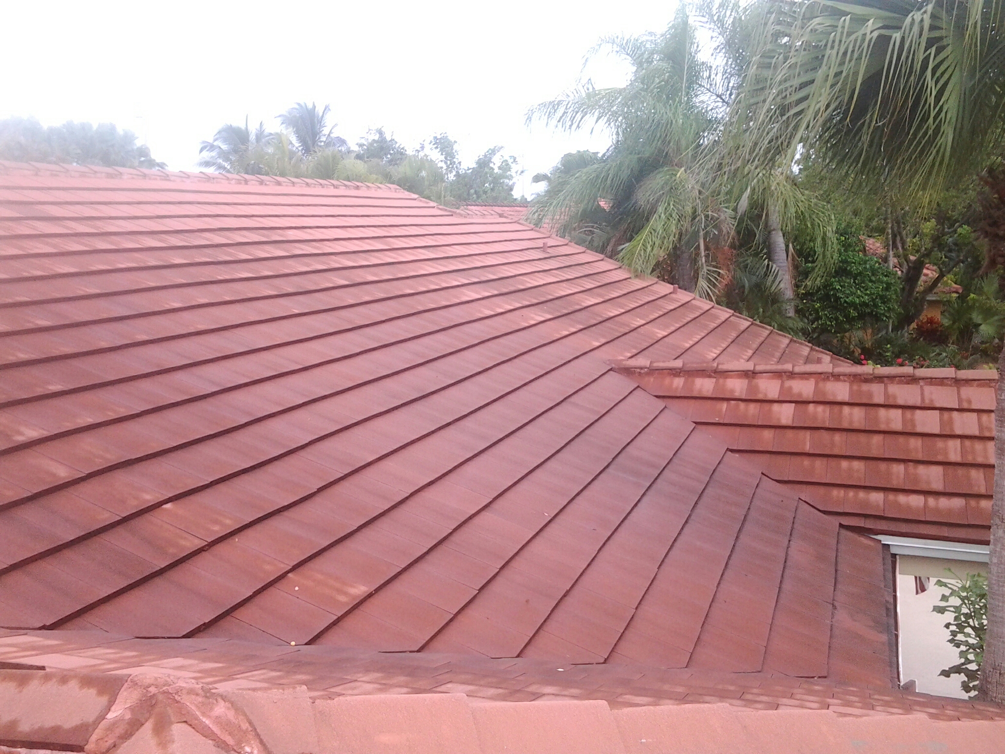 Miami Lakes, FL - Miami Lakes, FL -