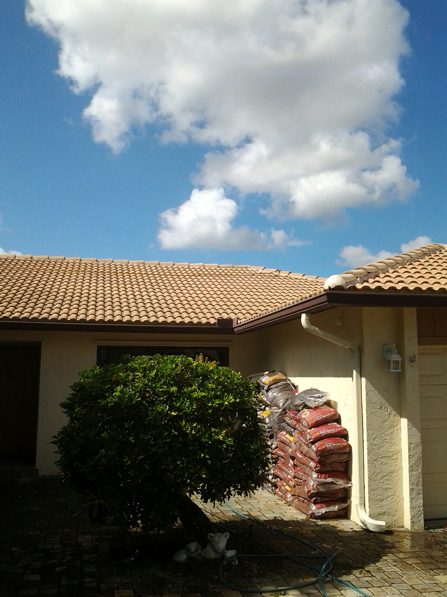 Lauderhill, FL - Lauderhill, FL -
