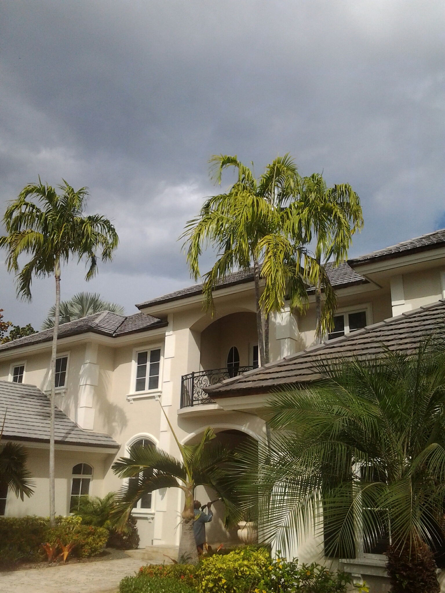 Pinecrest, FL - Pressure clean roof Pinecrest, FL - Pressure clean roof