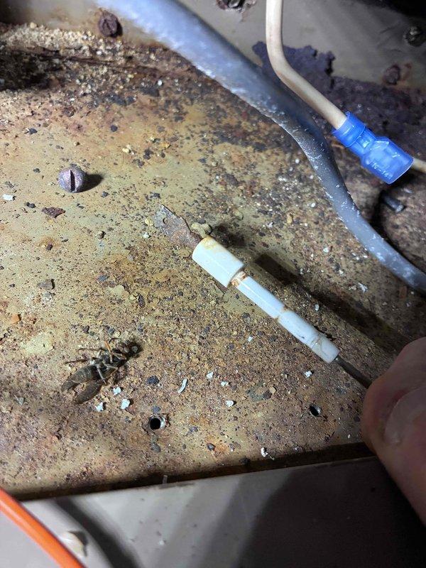 Diagnosed and restored operation on a 1987 Magic Chef furnace that failed to initiate heating. Discovered extensive corrosion on the pilot assembly and electrical connections. Removed pilot assembly for cleaning, repaired corroded electrical connections, and successfully restored system functionality.