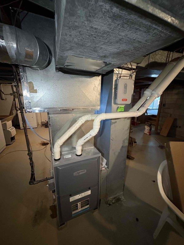 Responded to no-heat call for older Armstrong system. Discovered walnuts inside inducer motor causing obstruction. Removed motor, cleared debris, reinstalled component, and verified proper system operation. Heat function restored successfully.