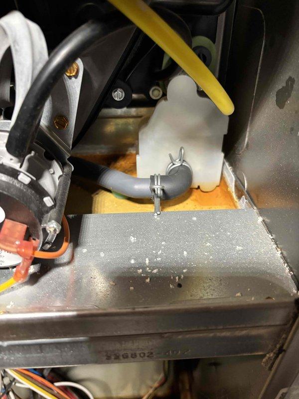 Performed scheduled maintenance agreement service on Carrier furnace system. Inspected all components including condensate collection system and ductwork. All systems functioning properly with no issues identified.