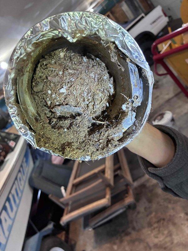 Diagnosed Reznor garage heater exhibiting no heat issue. Upon inspection, discovered significant bird nest blockage in exhaust pipe, which was restricting proper venting. Removed accumulated debris, cleared the exhaust passageway completely, reassembled components, and verified proper system operation with successful heat production.