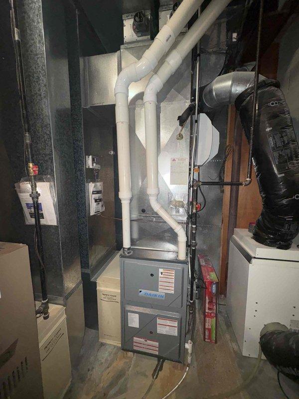 Performed standard furnace tune-up on Daikin unit. Identified leaking collector box during inspection. Documented issue with photographic evidence of system components and interior furnace assembly. Ordered replacement collector box to address water leak.