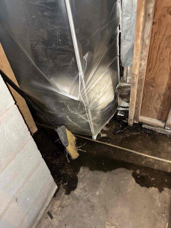 Responded to callback for ML 196 furnace with no heat condition. Upon inspection, confirmed unit requires replacement pressure switch which is currently on backorder. Observed significant moisture issues in basement including water staining on foundation walls and floor. Temporary solution implemented until replacement part arrives.