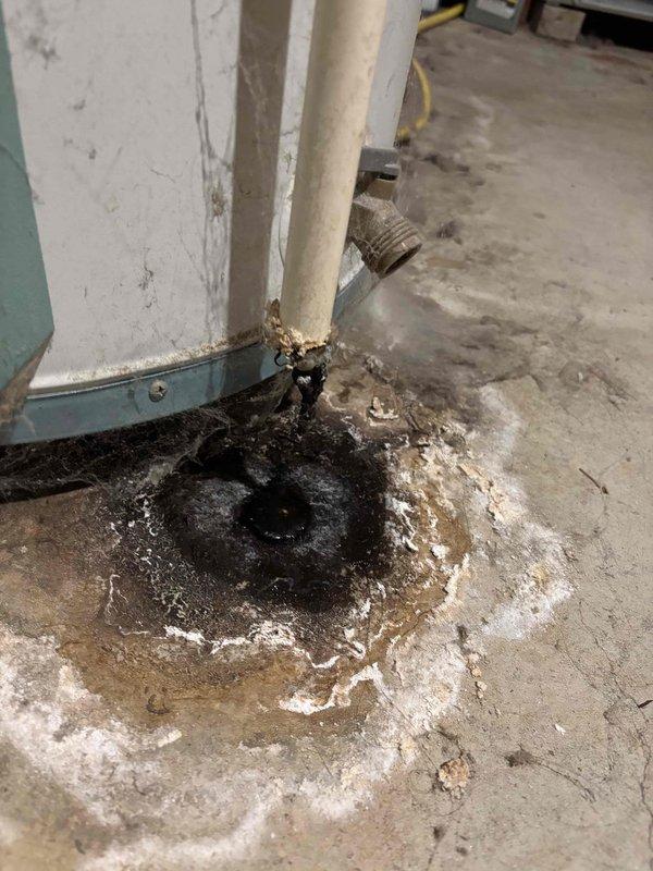 Performed annual CCC Quality Plan maintenance on furnace. Replaced 20X25X4 filter. Observed significant water damage and corrosion at base of water heater with visible leakage onto concrete floor. Noted exposed ceiling structure with various utility lines and ductwork in basement area.
