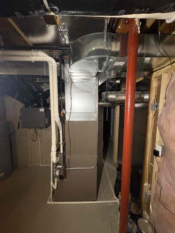 Responded to emergency service call regarding no heat condition. Diagnosed failed blower motor in furnace system. Performed visual inspection of control board and HVAC equipment in basement mechanical room. Ordered replacement motor for upcoming installation.