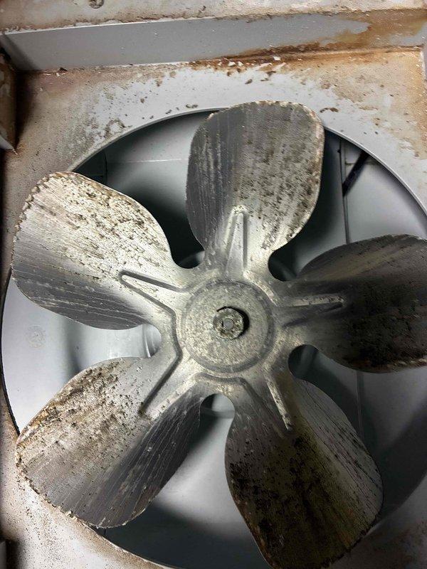 Completed annual preventive maintenance on two Daikin air conditioning systems per prepaid CCC Quality Plan agreement. Performed comprehensive inspection and cleaning of both units, with all components operating within manufacturer specifications. Thoroughly washed outdoor condenser coils to remove accumulated debris and contamination. Documented electrical readings including amperage measurements on equipment. Both systems tested and confirmed operational upon completion.