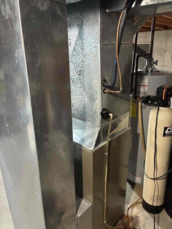 Responded to a no-heat call on a 20-year-old Carrier upright gas furnace and performed a full diagnostic of the unit, including inspection of the cabinet, supply plenum, ductwork, condensate drain assembly, and PVC venting. No visible frost, rust, or equipment damage was observed at the furnace. Verified the unit's operating condition and documented the installation with photos.