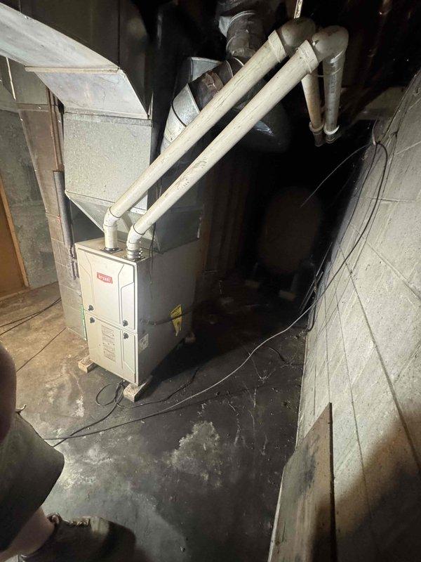 Responded to a no-heat call on a 10+ year old Bryant upright gas furnace displaying a three-blink fault code, then diagnosed the cause of the lockout and verified proper operation of the unit. After restoring the system, confirmed normal ignition sequence, burner operation, and heated airflow through the supply ductwork, with the furnace cycling properly at completion.