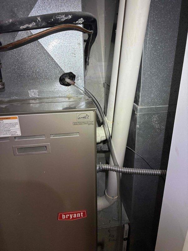 Performed annual heating maintenance on an aging Bryant furnace, including inspection of the thermostat and verification of proper heat call and system operation. Visually inspected the cabinet, plenum and ductwork, refrigerant lines, condensate drain piping, and electrical conduit connections, with no visible damage or abnormal conditions noted. Reviewed replacement options for the aging equipment and discussed budgetary expectations for a future system upgrade.