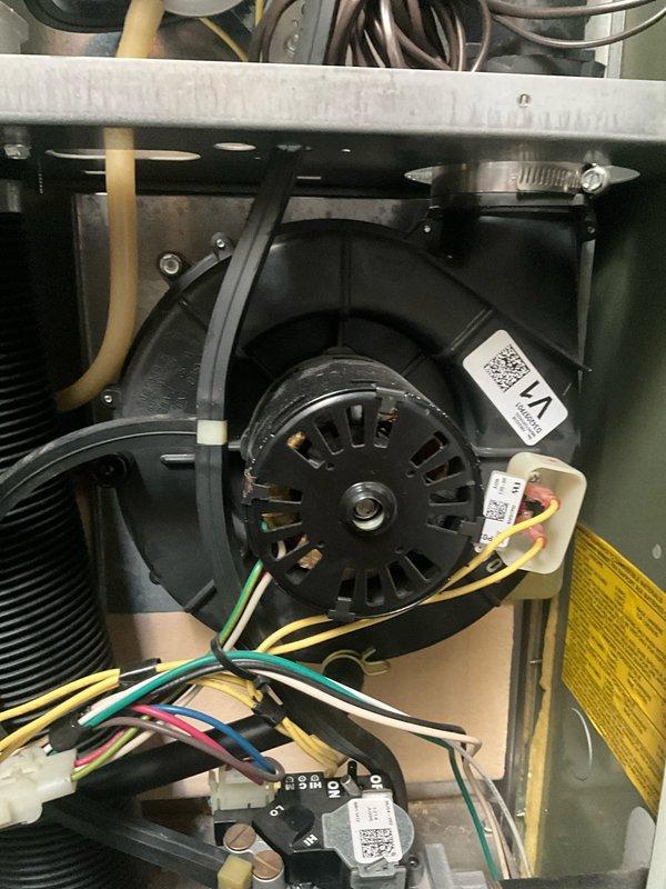 Performed a non-member maintenance furnace tune-up on a 13+ year old system. Inspected electrical connections at junction box and verified proper wiring integrity. Examined and cleaned blower motor assembly, checking all colored wire connections (green, yellow, red, blue, and white) for secure attachment and inspected fan blades for optimal operation.