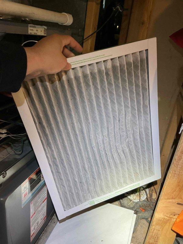 Performed BFMA tune-up on 7+ year old furnace system with humidifier, including inspection of blower wheel assembly and replacement of air filter. Equipment was operating within normal parameters with clean pleated filter installed and blower wheel showing appropriate condition during maintenance inspection.