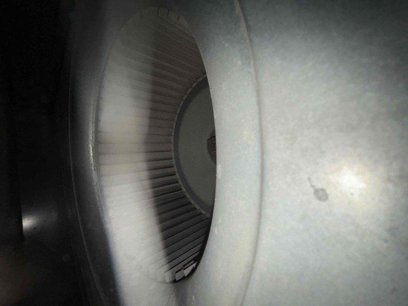 Performed BFMA tune-up on 7+ year old furnace system with humidifier, including inspection of blower wheel assembly and replacement of air filter. Equipment was operating within normal parameters with clean pleated filter installed and blower wheel showing appropriate condition during maintenance inspection.