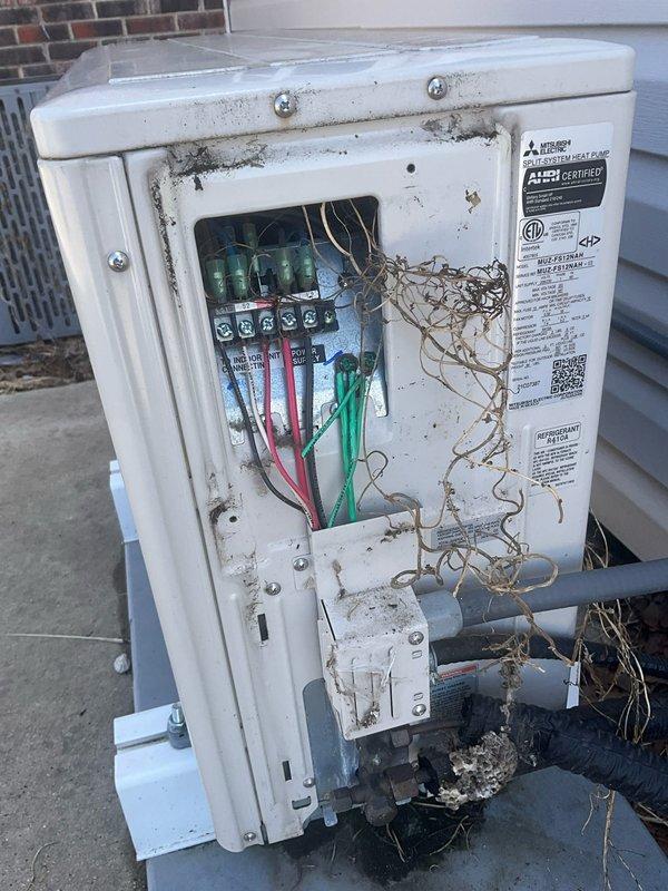 Responded to no-heat call for downstairs furnace and mini-split in four season room. Inspection revealed significant dust and cobweb accumulation inside furnace control board connections and wiring, requiring thorough cleaning. Outdoor unit showed severe weathering with dirt buildup and invasive plant roots growing into the electrical connection panel, which were removed to prevent system interference. Restored proper electrical connections and verified heat operation for both systems.