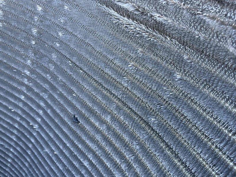 Completed comprehensive BFMA tune-up on 7+ year old residential air conditioning system during afternoon appointment window. Performed full system inspection of outdoor condenser unit, evaluated condenser coil condition noting accumulated debris between fins, and documented equipment status with detailed photography. All standard maintenance procedures were executed according to BFMA protocol specifications for aging AC equipment.