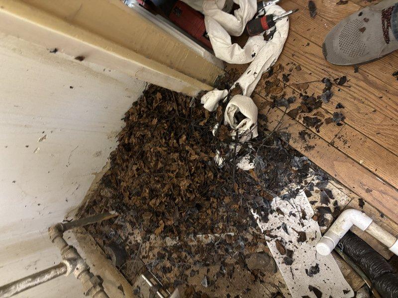 Completed residential tanked water heater installation with galvanized pipe connections. Installed BFRG140T6N unit with new flue system including 7x5x4 wye tee, 5x4 reducer, and 4x3 reducer to accommodate proper venting configuration. Added expansion tank to system for thermal expansion protection and code compliance. Addressed existing corroded floor drain fixture showing significant rust staining and deterioration. All components properly secured and tested for functionality upon completion.