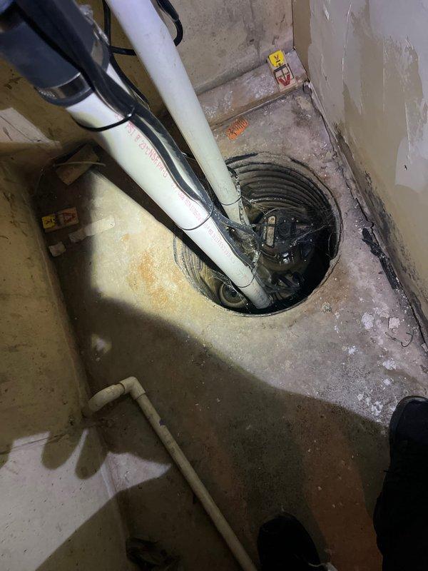 Completed comprehensive air conditioning tune-up on residential unit aged 9+ months. Performed thorough inspection of condenser coil fins, which were found to be in clean condition with proper spacing and no significant debris accumulation. Verified all system components for proper operation and documented equipment condition through photographic records of condenser unit and basement mechanical area including sump pump system.