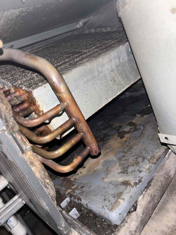 Completed comprehensive BFMA tune-up on 19-year-old commercial air conditioning system, including inspection of outdoor condenser unit and indoor evaporator coil assembly. Noted significant corrosion on copper refrigerant lines and heat exchanger components, along with mineral deposits and moisture damage on metal surfaces indicating long-term condensation exposure. Performed standard maintenance protocol, cleaned accessible components, and documented equipment condition with photographic evidence for service records.