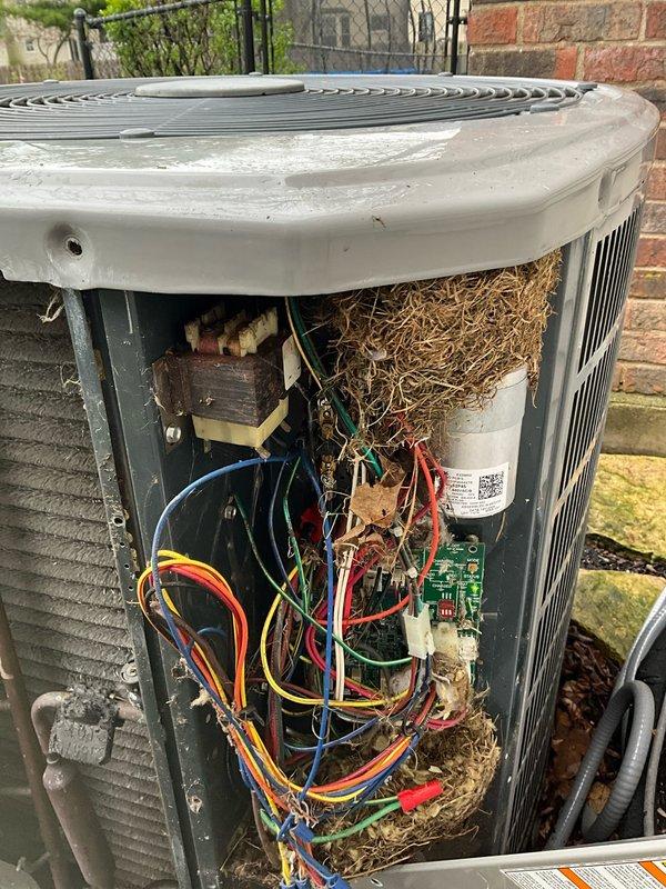 Completed comprehensive BFMA tune-up on 16+ year old air conditioning system. Removed access panel and discovered significant accumulation of grass clippings, plant material, and debris throughout electrical compartment surrounding contactor, capacitor, circuit board, and wiring connections. Cleaned all internal components, removed organic debris from electrical compartment to prevent potential fire hazard and ensure proper airflow. Inspected and tested contactor, capacitor, and all electrical connections for proper operation. Replaced dirty air filter with visible dust accumulation. Verified system operation and confirmed unit is functioning properly following debris removal and component inspection.