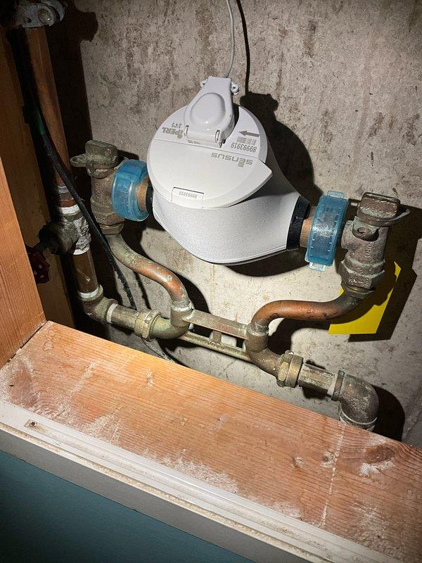 Completed comprehensive plumbing inspection of residential water supply system and water heating equipment. Documented water meter installation with Sensus digital meter, associated bypass valving, and copper supply piping showing normal age-related patina. Inspected and photographed residential water heater with proper emergency shutdown instructions posted, verified plumbing connections, shutoff valves operational, and leak detection device properly positioned at base of unit.