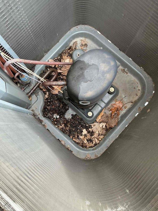 Completed comprehensive BFMA tune-up on 14+ year old air conditioning system in preparation for home sale. Performed standard AC maintenance protocol including inspection of outdoor condensing unit, refrigerant line assessment, and electrical system testing with clamp meter showing 24.1V readings. Addressed significant maintenance concern by cleaning heavily clogged condensate drain pan containing accumulated organic debris, dead leaves, and sludge buildup around pump assembly and copper discharge lines. System operational and ready for continued service.