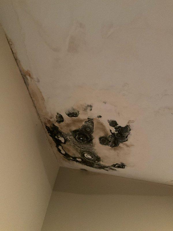 Responded to water leak complaint in basement ceiling directly below bathroom toilet. Upon inspection, discovered active moisture intrusion causing ceiling deterioration, buckling, and significant mold growth in corner areas where walls meet ceiling. Documented extensive black mold colonization and water staining on ceiling surfaces indicating prolonged moisture exposure. Examined basement structural framing and found water damage affecting ceiling joists and drywall integrity. Photographed affected areas including compromised ceiling materials, mold growth patterns, and exposed basement infrastructure. Advised immediate remediation required for mold contamination and recommended toilet seal inspection and replacement as probable source of leak.