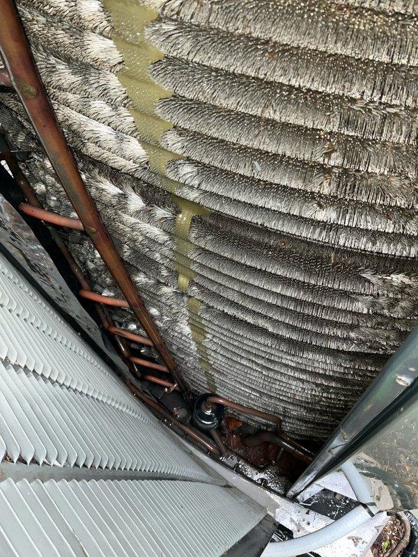 Completed semi-annual BFMA preventative maintenance on residential AC system. Performed comprehensive tune-up including system inspection, replaced 16x25x5 air filter, and evaluated evaporator coil which showed evidence of biological growth and debris accumulation between fins. Exterior condensing unit inspected and found operational with adequate clearance despite surrounding vegetation. System running within normal parameters upon completion of service.
