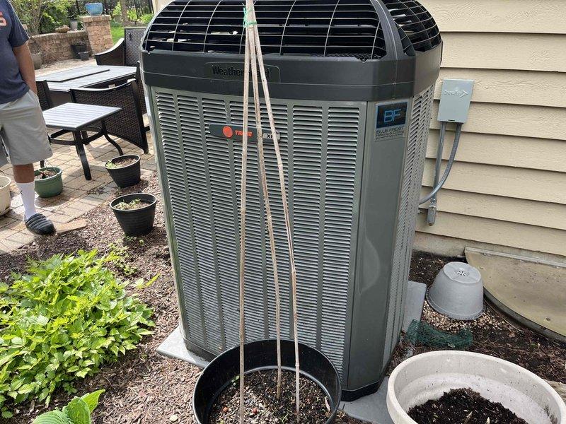 Completed comprehensive BFMA preventive maintenance tune-up on dual outdoor air conditioning units, approximately 2 years old. Performed full system inspection including cleaning of condenser coils, verification of refrigerant levels, electrical connections check, and amperage draw testing. Evaporator coils showed minor dust accumulation which was addressed during service, and drain pan was inspected with minor debris removal performed to ensure proper condensate drainage and prevent future blockages.