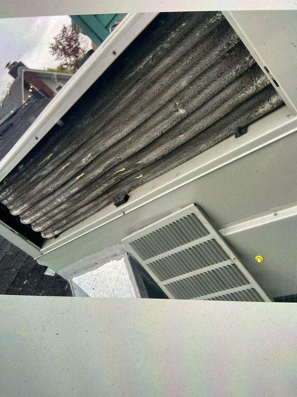 Performed comprehensive BFMA tune-up on commercial rooftop unit (RTU) including full inspection of condenser and evaporator components. Documented significant dust and debris accumulation on evaporator coils requiring attention, and verified condenser unit exterior condition with minor weathering consistent with normal outdoor exposure.