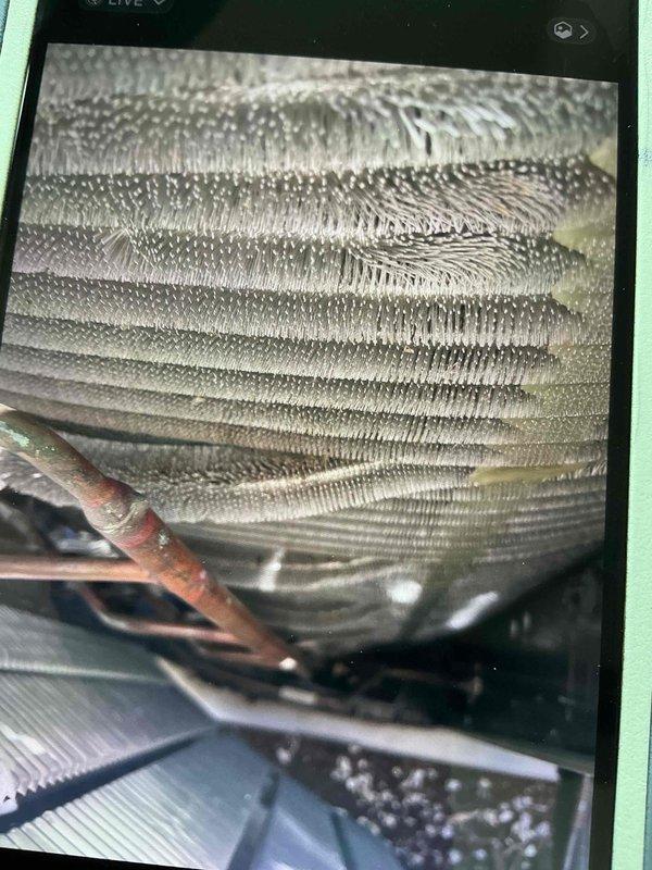 Completed comprehensive BFMA tune-up service on 2+ year old HVAC system, including full AC system inspection and maintenance of evaporator coil assembly. Observed frost accumulation on upper coil section indicating potential refrigerant charge issue or airflow restriction; verified coil fins were clean with good spacing and metallic surfaces intact. Performed standard tune-up procedures including inspection of copper refrigerant lines, blower assembly, and heat exchanger components, with dryer vent cleaning completed as requested due to identified need.