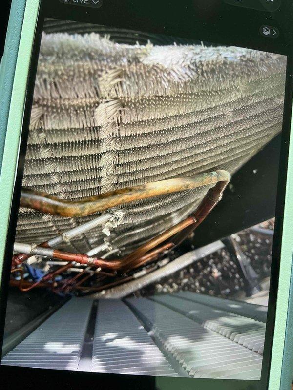 Completed comprehensive BFMA tune-up service on 2+ year old HVAC system, including full AC system inspection and maintenance of evaporator coil assembly. Observed frost accumulation on upper coil section indicating potential refrigerant charge issue or airflow restriction; verified coil fins were clean with good spacing and metallic surfaces intact. Performed standard tune-up procedures including inspection of copper refrigerant lines, blower assembly, and heat exchanger components, with dryer vent cleaning completed as requested due to identified need.