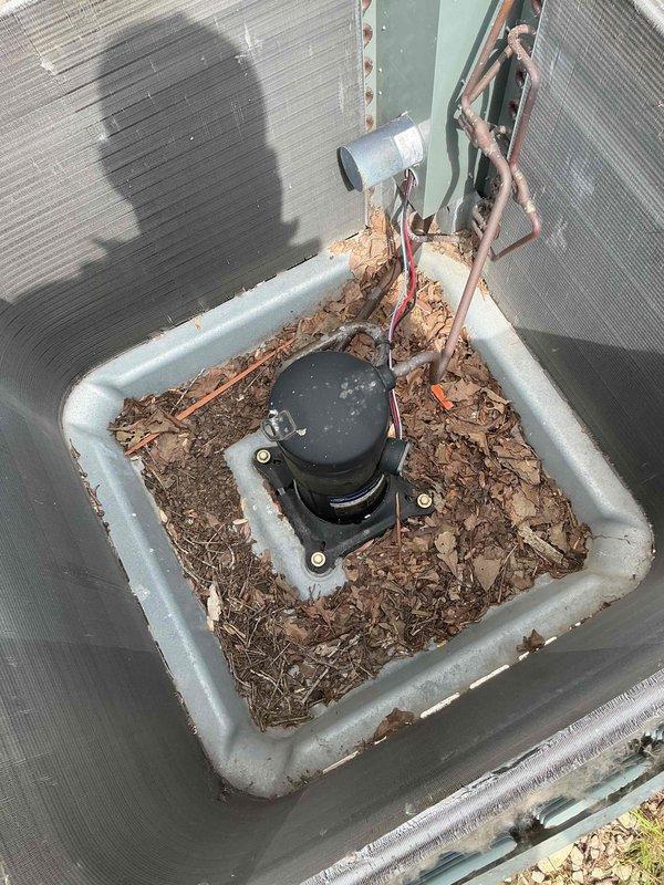Completed comprehensive BFMA tune-up service on 14-year-old rooftop condensing unit. Removed significant accumulation of leaves, twigs, and organic debris from compressor compartment and surrounding areas that had built up over extended period without maintenance. Inspected electrical connections, verified compressor mounting, and ensured proper airflow through aluminum finned coil sections to restore optimal system performance.
