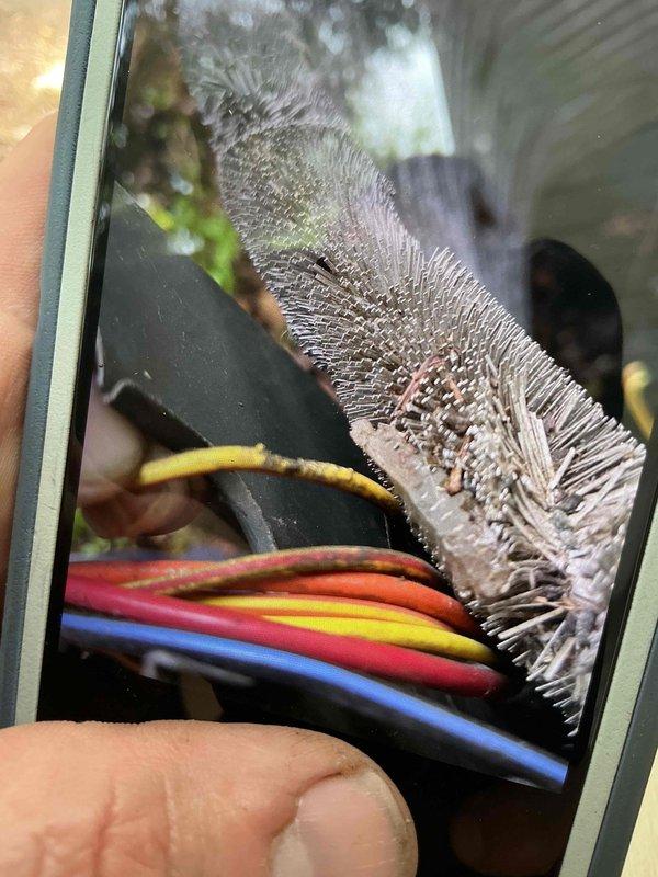 Completed comprehensive air conditioning tune-up on 5-year-old outdoor condensing unit. Performed standard preventive maintenance procedures including inspection of all electrical connections, refrigerant level verification, condenser coil cleaning, and operational testing of all system components. Unit operating within manufacturer specifications with no deficiencies noted at time of service.