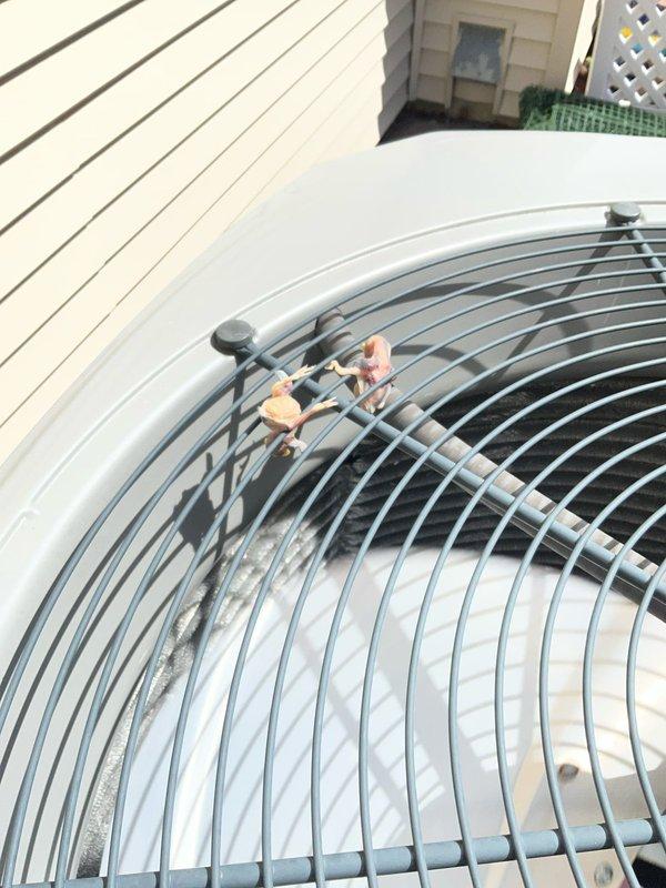 Completed comprehensive BFMA tune-up service on a 7+ year old air conditioning system during afternoon appointment window. Performed standard maintenance protocol including inspection of indoor evaporator coil, which showed significant rust staining and debris accumulation in upper sections with varying discoloration throughout the unit indicating age-related wear and contamination. Inspected outdoor condenser unit and fan assembly, noting minor debris lodged in top fan guard grille that was addressed during service. All accessible components were evaluated, system operational parameters verified, and unit returned to proper working condition per manufacturer specifications.