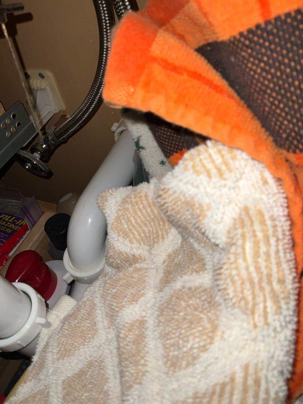 Completed comprehensive plumbing inspection as part of preventative maintenance tune-up service. Performed thorough assessment of all accessible plumbing fixtures, supply lines, drain systems, and shut-off valves throughout the residence. All systems found to be operating within normal parameters with no leaks, deficiencies, or immediate repair needs identified at time of inspection.