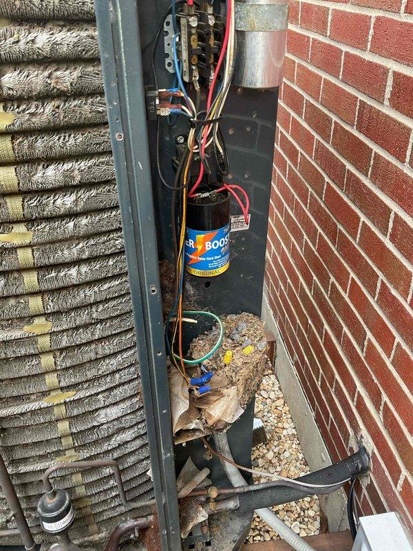 Completed comprehensive BFMA tune-up on 11-year-old air conditioning system. Performed full system inspection revealing significant organic debris accumulation (leaves, twigs, and dirt) in base pan which was removed to prevent drainage issues and maintain proper airflow. Inspected all electrical components including capacitors, contactor, and wiring connections; verified all connections were secure and functioning properly. Cleaned evaporator coil fins and checked refrigerant lines for proper insulation. System tested and operating within normal parameters upon completion.