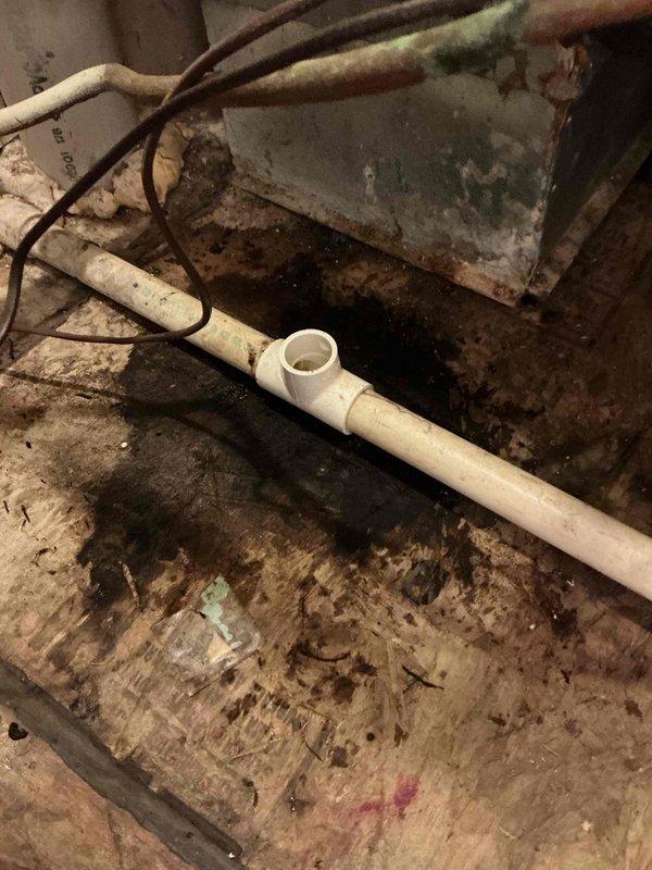 Completed comprehensive BFMA tune-up on American Standard outdoor condensing unit aged 4+ years at residential property. Performed standard preventive maintenance protocol including inspection of refrigerant lines, electrical connections, and condenser coil cleaning. Accessed indoor air handler unit in basement crawl space and inspected evaporator coil, condensate drain system including PVC drain lines and T-joint connections, and verified proper airflow through ductwork. System tested and operational upon completion.