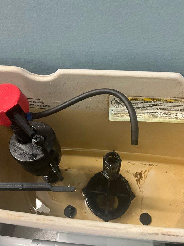 Removed and disposed of existing deteriorated flush gasket and fill valve from toilet tank. Installed client-provided flush gasket with no warranty on client-supplied parts, backed by 1-year labor warranty. Provided and installed new fill valve assembly with bright red adjustment cap, complete with 1-year parts and labor warranty. All components tested for proper operation and leak-free performance upon completion.