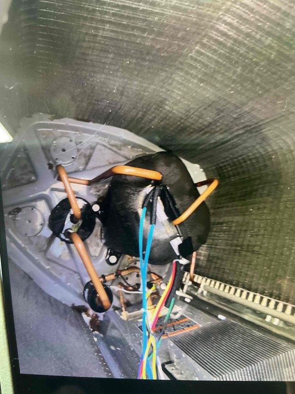 Completed BFMA tune-up service on 8-month-old HVAC system. Performed comprehensive inspection of air handler interior, electrical connections, and refrigerant lines. Replaced air filters per customer request due to pet dander concerns from two dogs in residence. Advised customer that system is relatively new and recommended scheduling future maintenance at end of cooling season for optimal service timing. All components inspected and found operating within normal parameters. System left in proper working condition.