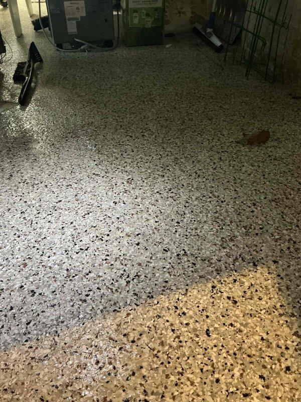 Responded to service call to investigate and qualify residue surrounding furnace in mechanical room. Upon arrival, found significant water accumulation on terrazzo floor throughout the area where HVAC equipment is located. Conducted thorough inspection of furnace and surrounding mechanical systems to identify source of moisture and residue. Documented conditions with photographs showing water pooling on floor surface near green HVAC units, indicating potential condensation issue or drainage concern from equipment. Assessed equipment operation and determined warranty-applicable conditions requiring further evaluation under BFMA coverage.
