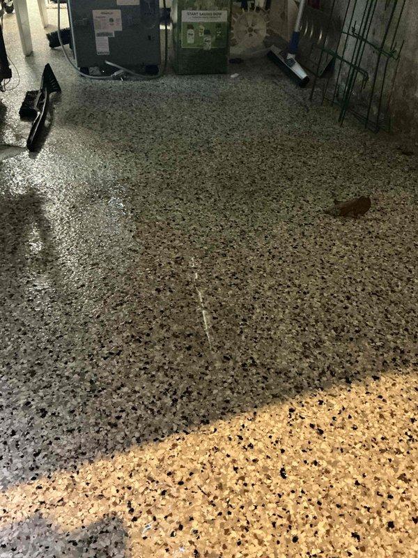 Responded to service call to investigate and qualify residue surrounding furnace in mechanical room. Upon arrival, found significant water accumulation on terrazzo floor throughout the area where HVAC equipment is located. Conducted thorough inspection of furnace and surrounding mechanical systems to identify source of moisture and residue. Documented conditions with photographs showing water pooling on floor surface near green HVAC units, indicating potential condensation issue or drainage concern from equipment. Assessed equipment operation and determined warranty-applicable conditions requiring further evaluation under BFMA coverage.