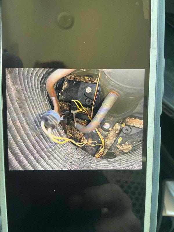 Completed comprehensive BFMA tune-up service on residential HVAC system during afternoon appointment. Performed full AC maintenance including inspection of all major components, refrigerant line set evaluation, and air filtration system assessment. Documented significant corrosion and oxidation on copper refrigerant lines with visible deterioration, moisture damage, and biological growth accumulation on piping and connection points, as well as dust accumulation on air filter requiring attention.